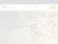 Screenshot for http://www.spinalinterventions.com/
