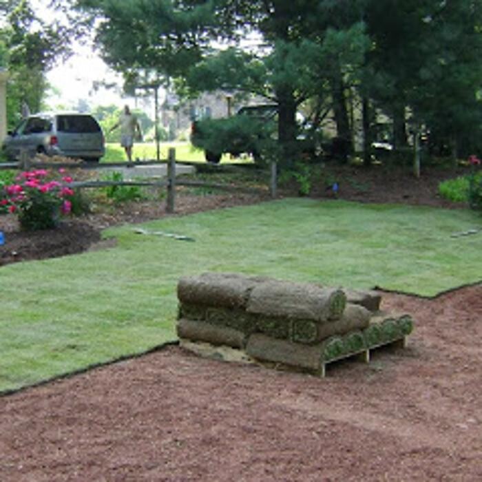 Images Lawngevity Landscaping & Maintenance, LLC