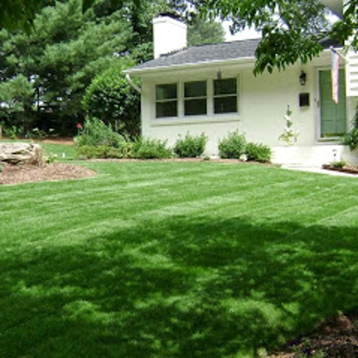 Images Lawngevity Landscaping & Maintenance, LLC