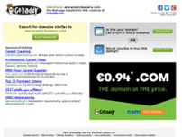 A&M Carpet Cleaners and More website screenshot