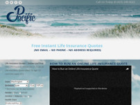 Pacific Insurance Group website screenshot
