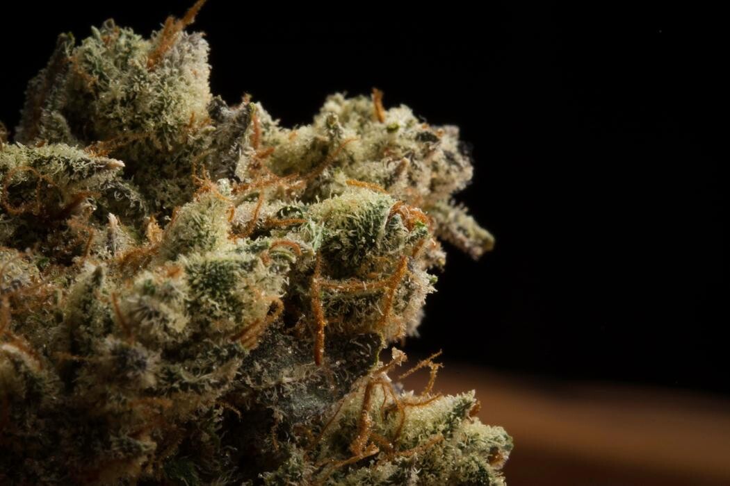 Images Medizin - Cannabis Dispensary Las Vegas