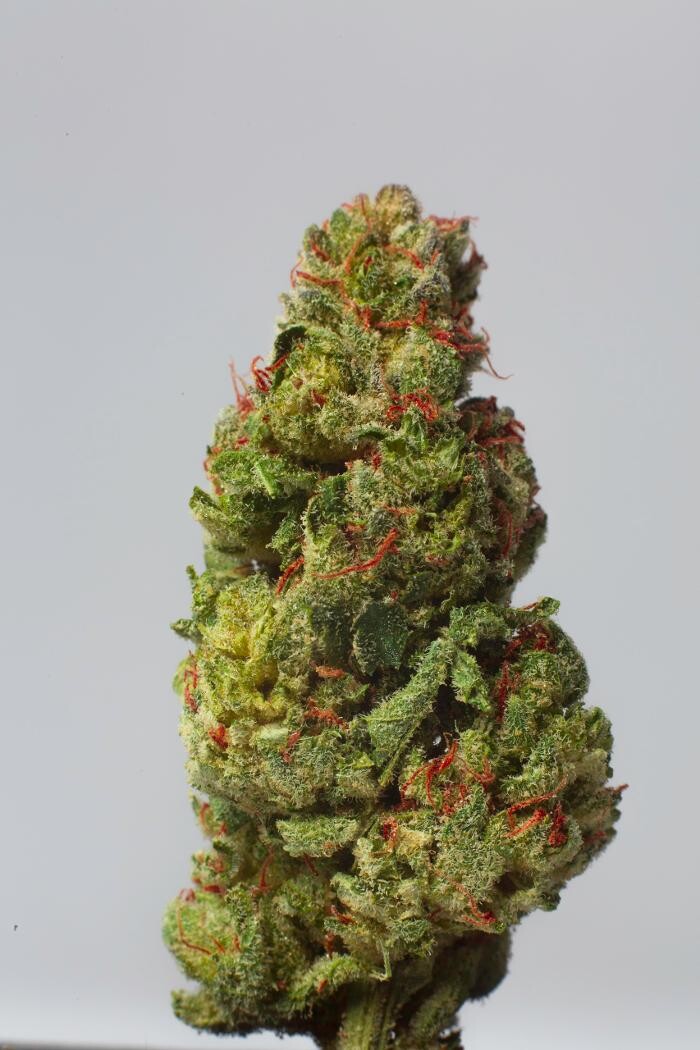 Images Medizin - Cannabis Dispensary Las Vegas