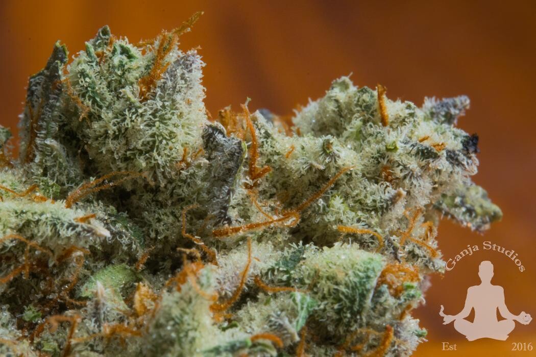 Images Medizin - Cannabis Dispensary Las Vegas