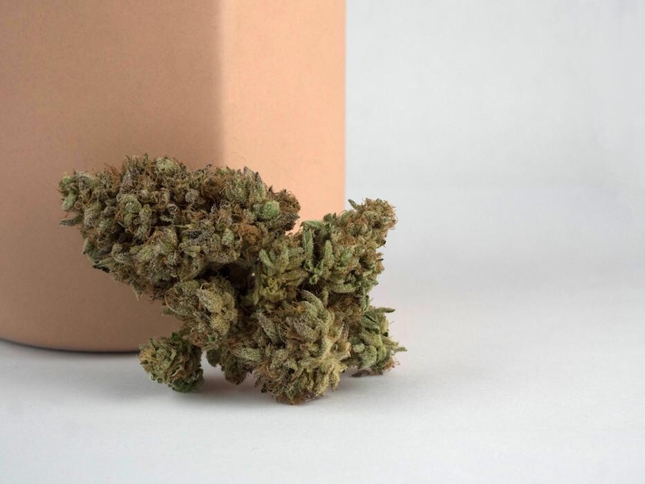 Images Medizin - Cannabis Dispensary Las Vegas