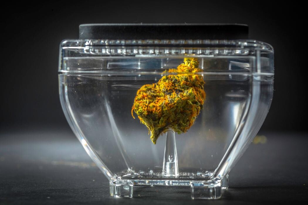 Images Medizin - Cannabis Dispensary Las Vegas