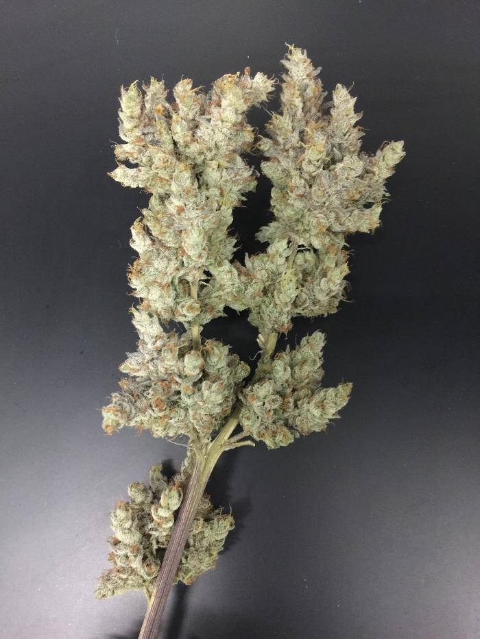 Images Medizin - Cannabis Dispensary Las Vegas