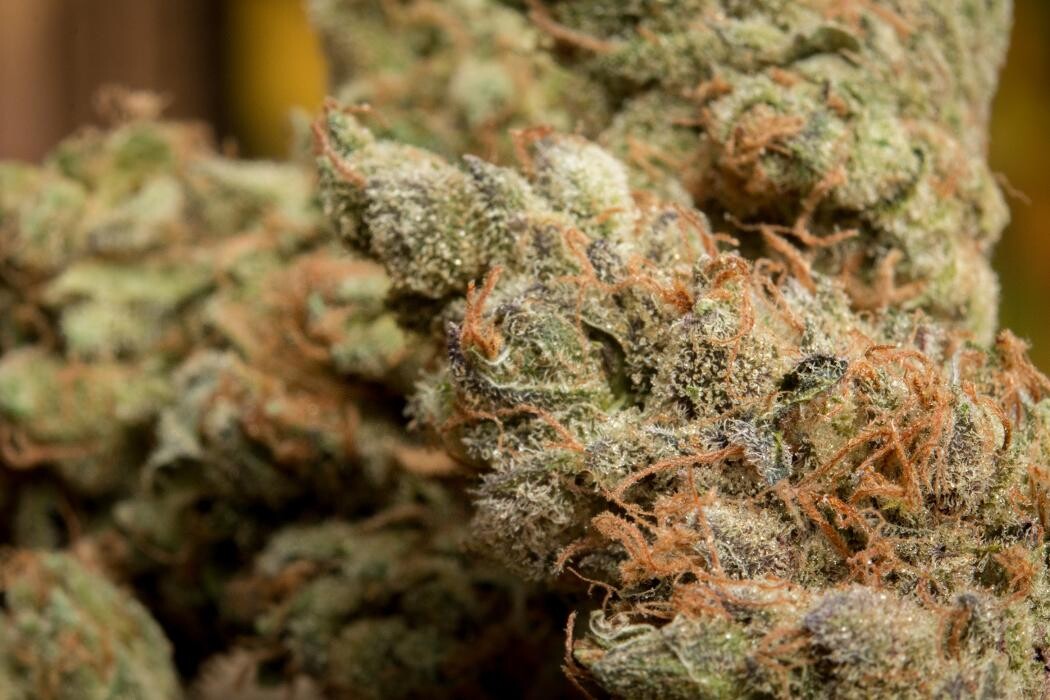 Images Medizin - Cannabis Dispensary Las Vegas