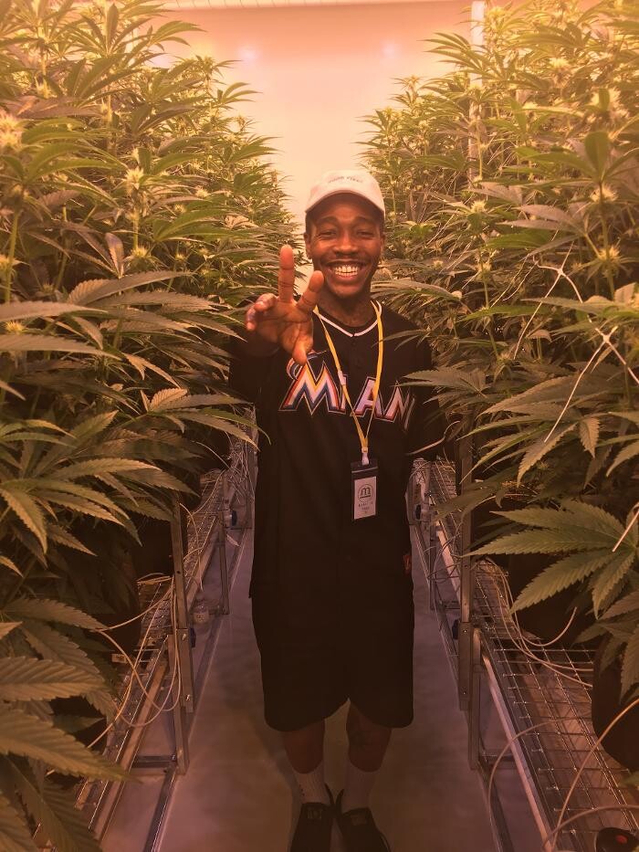 Images Medizin - Cannabis Dispensary Las Vegas