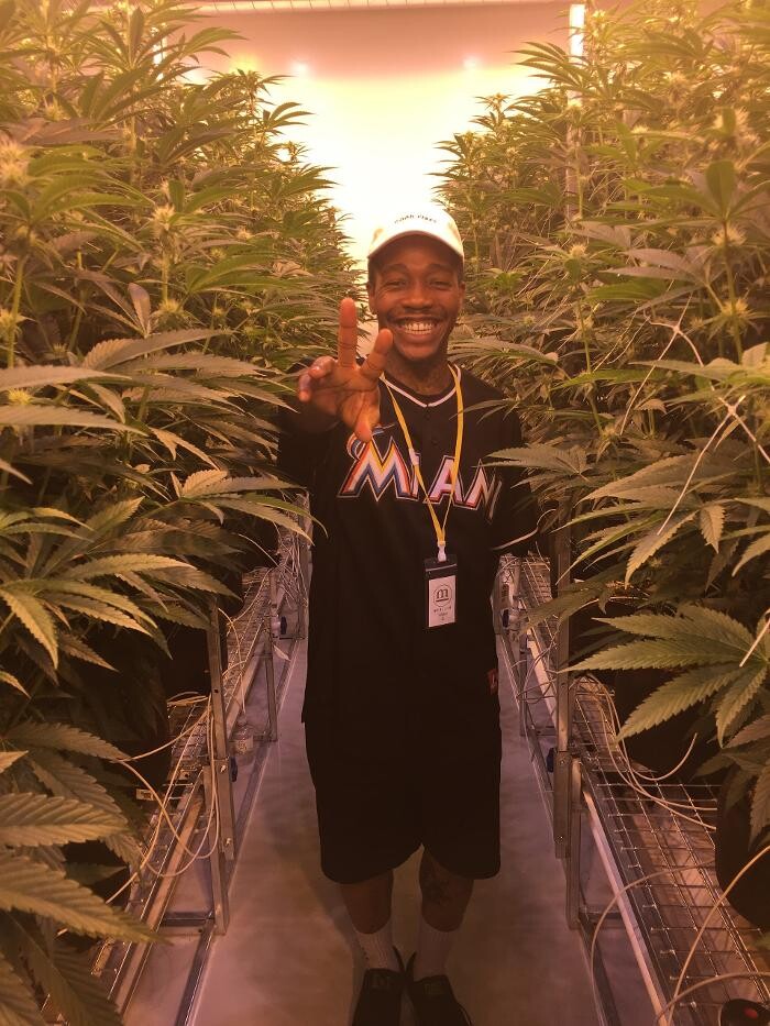 Images Medizin - Cannabis Dispensary Las Vegas