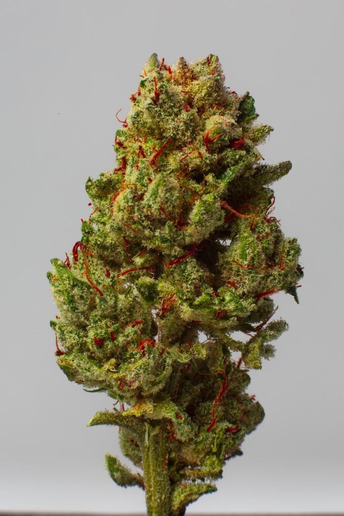 Images Medizin - Cannabis Dispensary Las Vegas