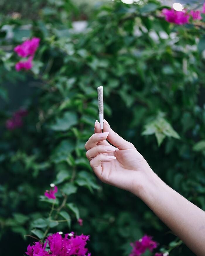 Images Medizin - Cannabis Dispensary Las Vegas