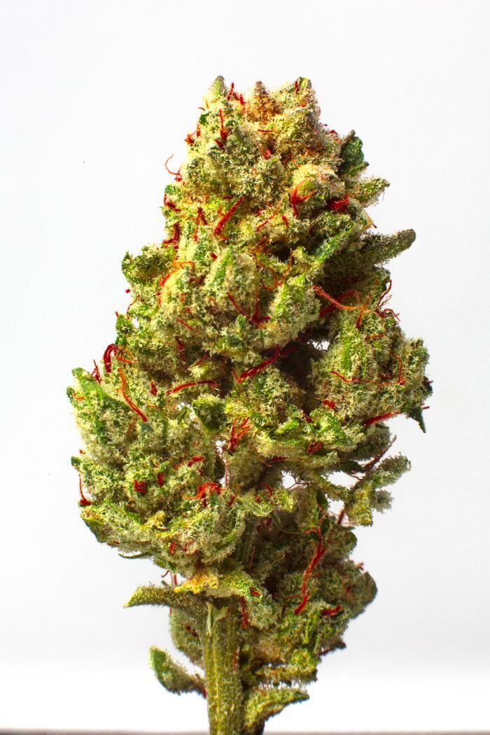 Images Medizin - Cannabis Dispensary Las Vegas