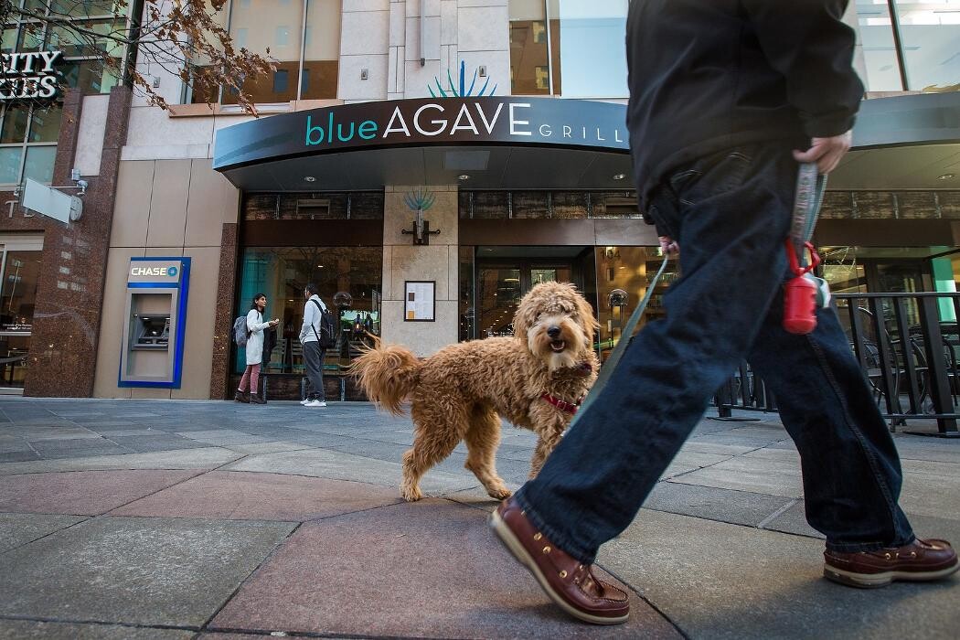 Images Blue Agave Grill