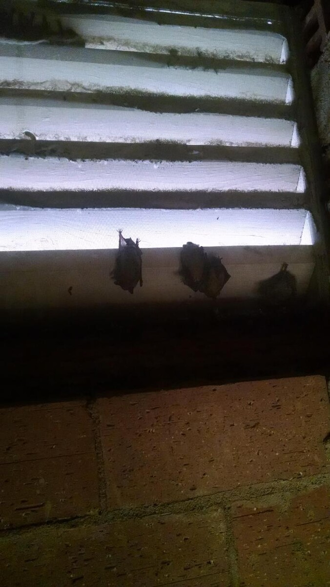 Images Animal Damage Trapping & Construction
