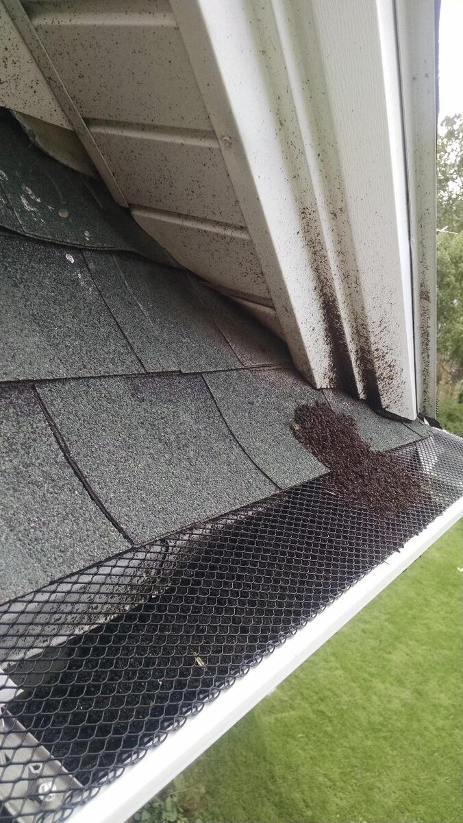 Images Animal Damage Trapping & Construction