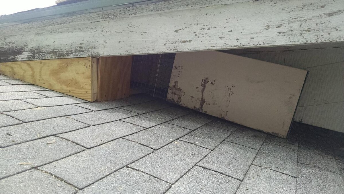 Images Animal Damage Trapping & Construction