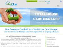 TruBlue North Dallas Suburbs website screenshot