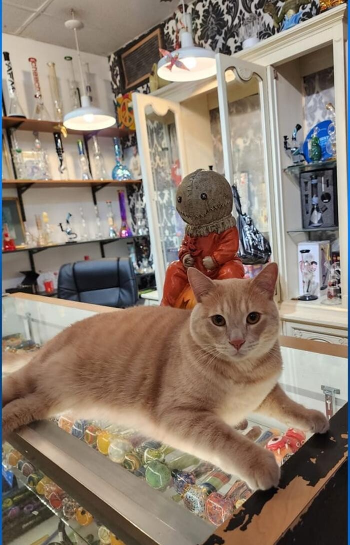 Images The Smoke House Smoke Shop