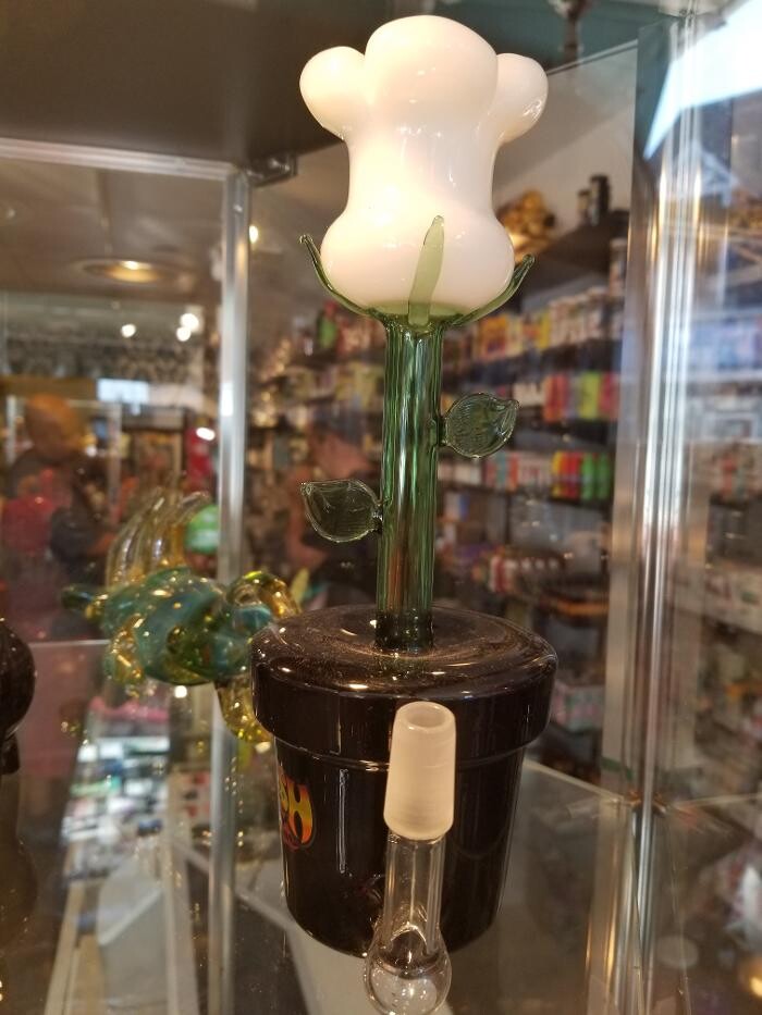 Images The Smoke House Smoke Shop