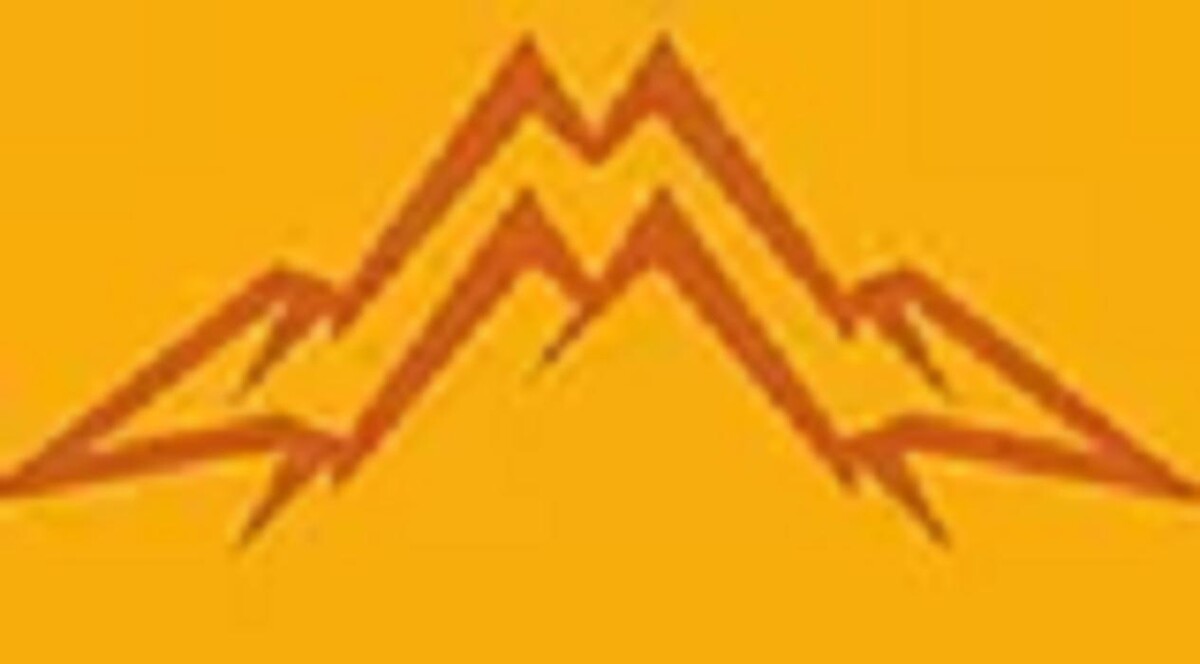 Mountain Man Hardwood Floors Logo