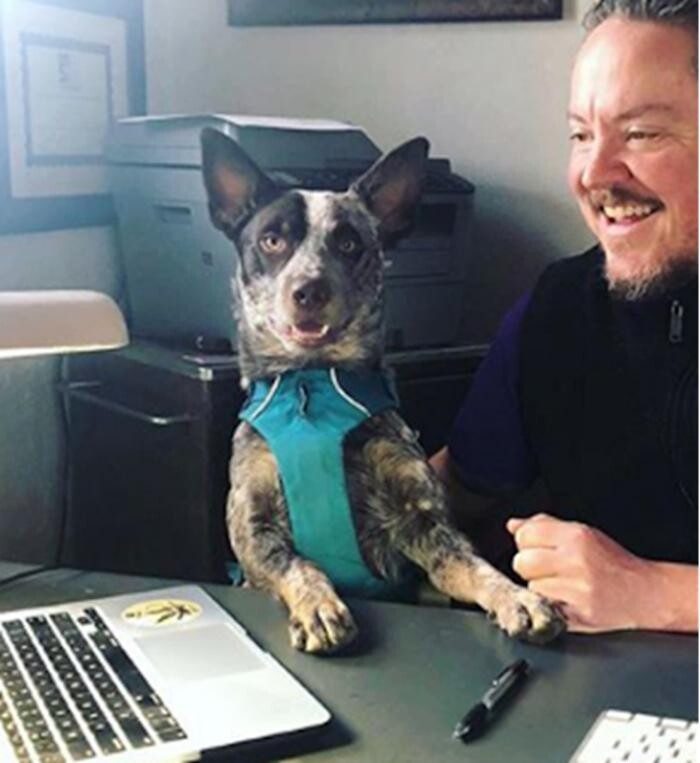 Images Doc Morrison - Medical Marijuana Evaluations