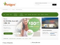 Website Screenshot Amigos