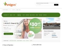 Website Screenshot Amigos