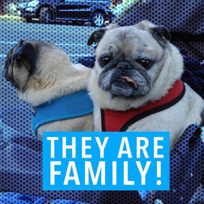 Images Noble West Animal Hospital