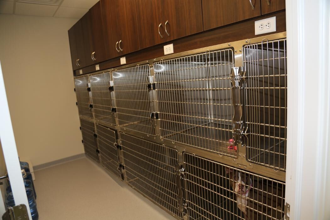 Images Noble West Animal Hospital