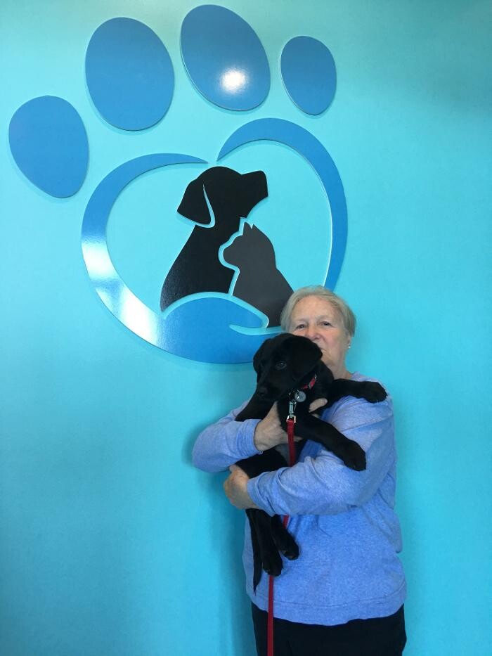 Images Noble West Animal Hospital