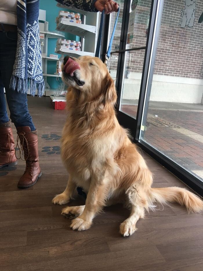 Images Noble West Animal Hospital