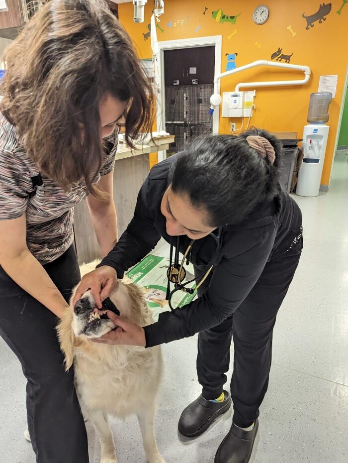 Images Noble West Animal Hospital