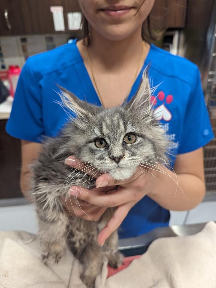 Images Noble West Animal Hospital