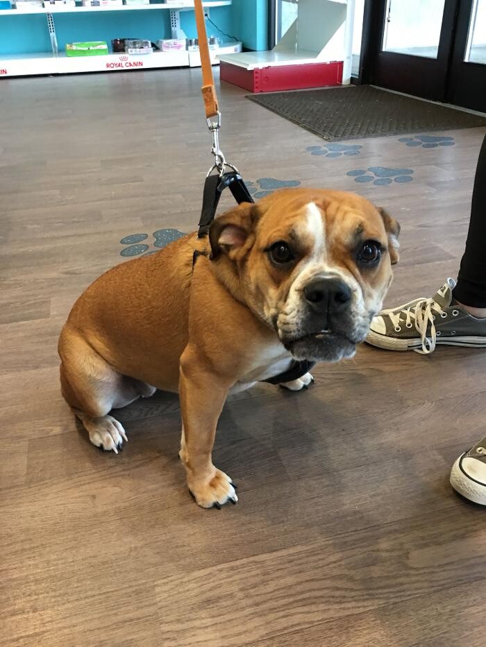 Images Noble West Animal Hospital