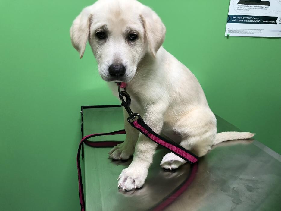 Images Noble West Animal Hospital