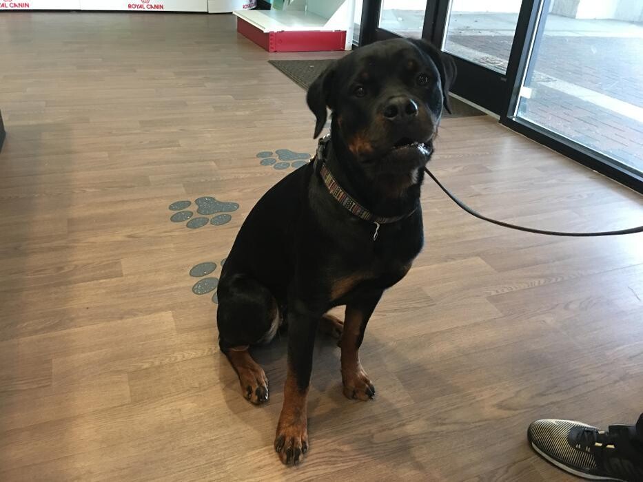 Images Noble West Animal Hospital