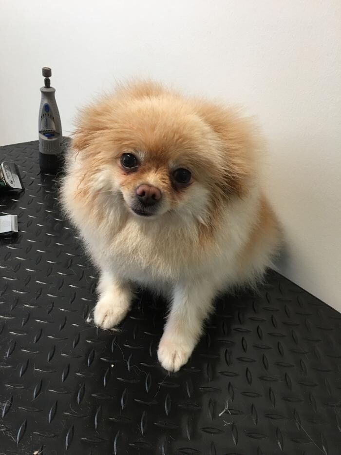 Images Noble West Animal Hospital