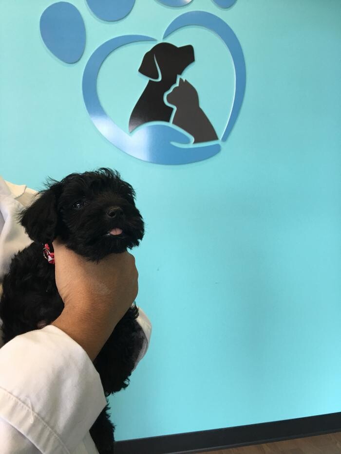 Images Noble West Animal Hospital