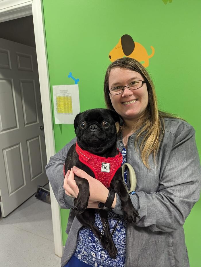 Images Noble West Animal Hospital