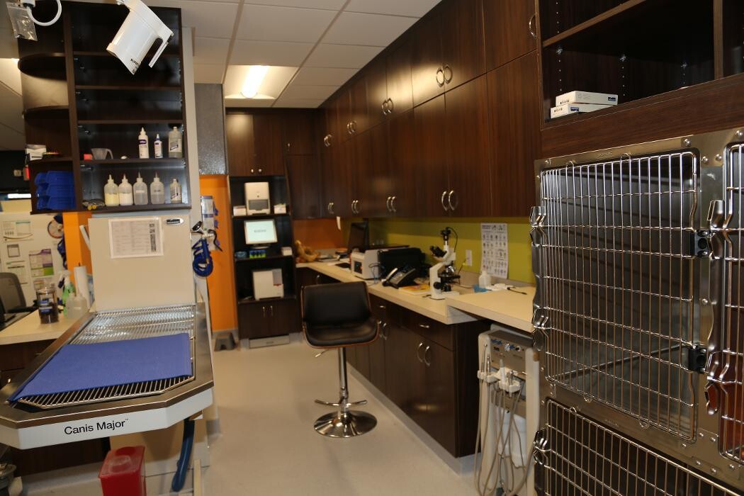 Images Noble West Animal Hospital