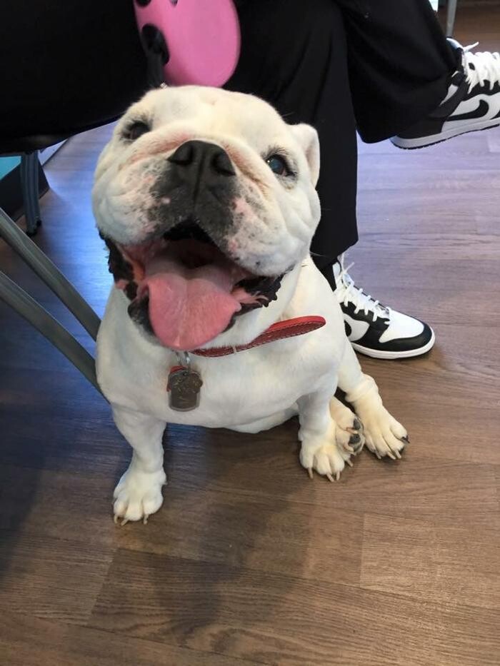 Images Noble West Animal Hospital