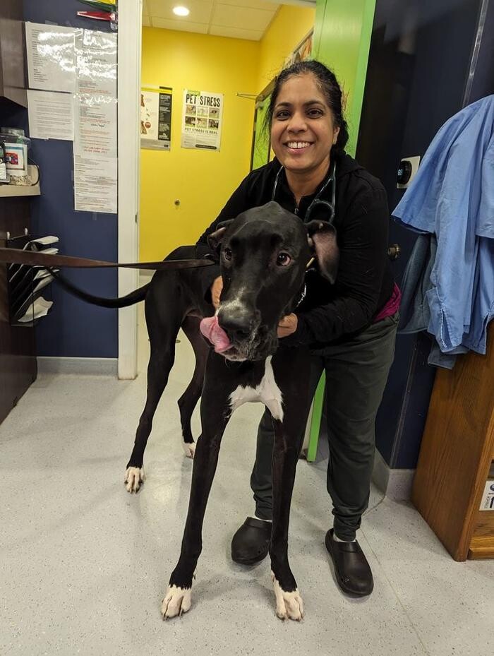 Images Noble West Animal Hospital