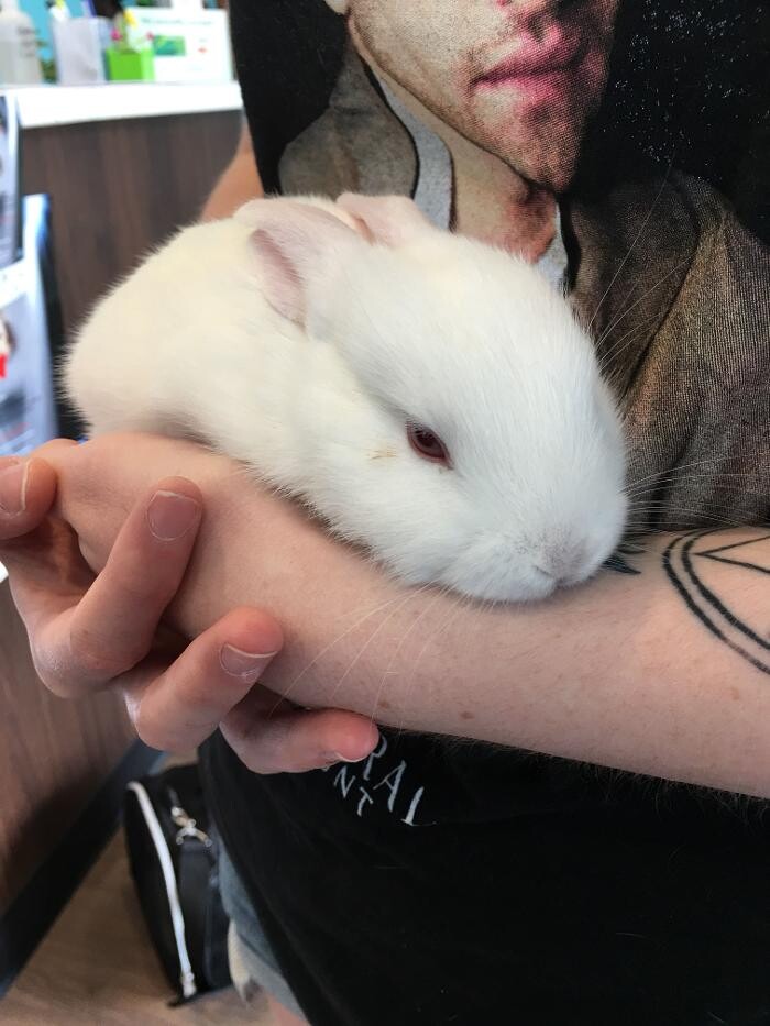 Images Noble West Animal Hospital