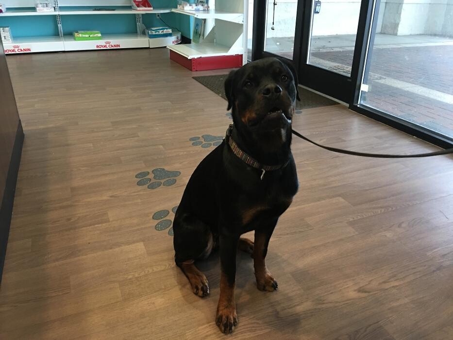 Images Noble West Animal Hospital