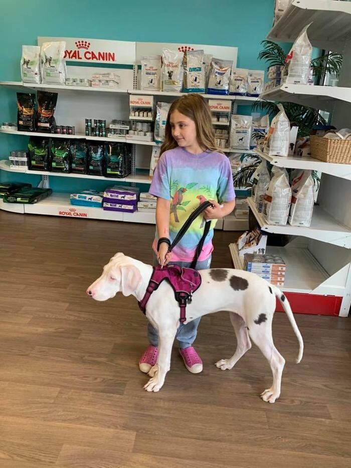 Images Noble West Animal Hospital