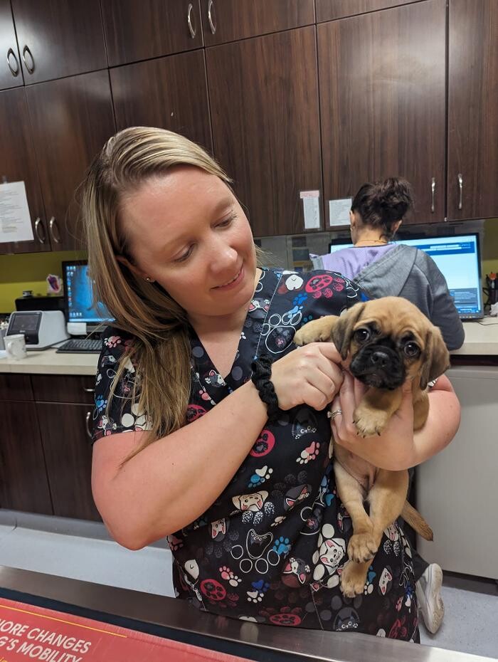 Images Noble West Animal Hospital
