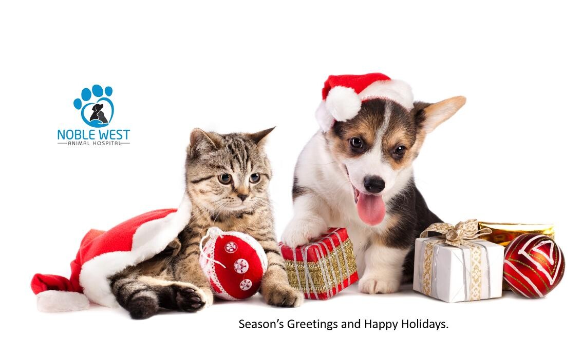 Images Noble West Animal Hospital