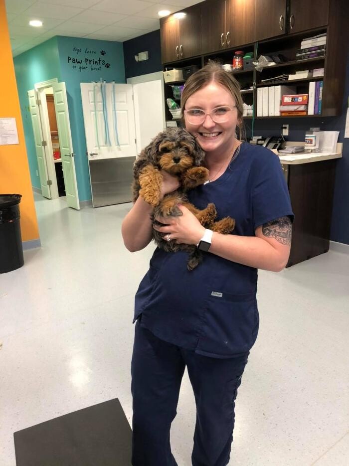 Images Noble West Animal Hospital