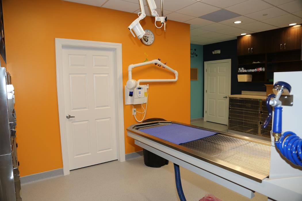 Images Noble West Animal Hospital